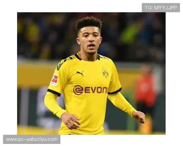 亚博YaBo滚球赛事分析与预测指南帮助玩家提升胜率