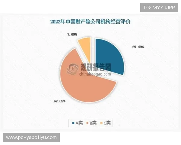 亚博体肓更名对游戏市场的影响分析，帮助玩家理解品牌升级带来的新机遇