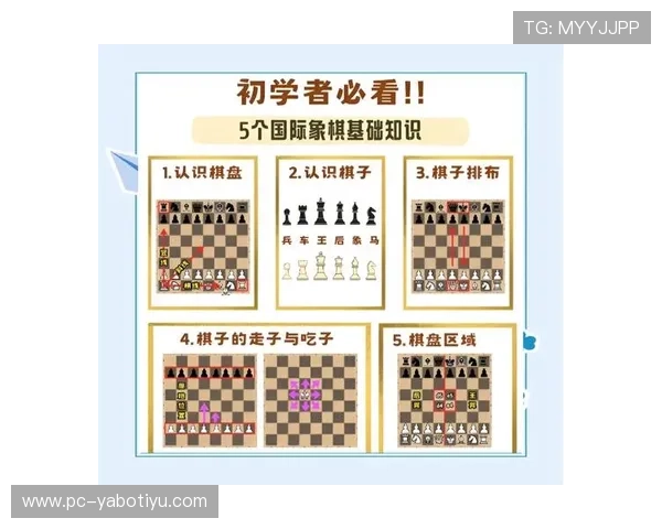 亚博国际版:新手入门指南与常见操作技巧详尽讲解