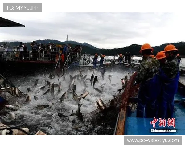 亚博捕鱼：如何利用策略提升捕鱼成功率的实用方法